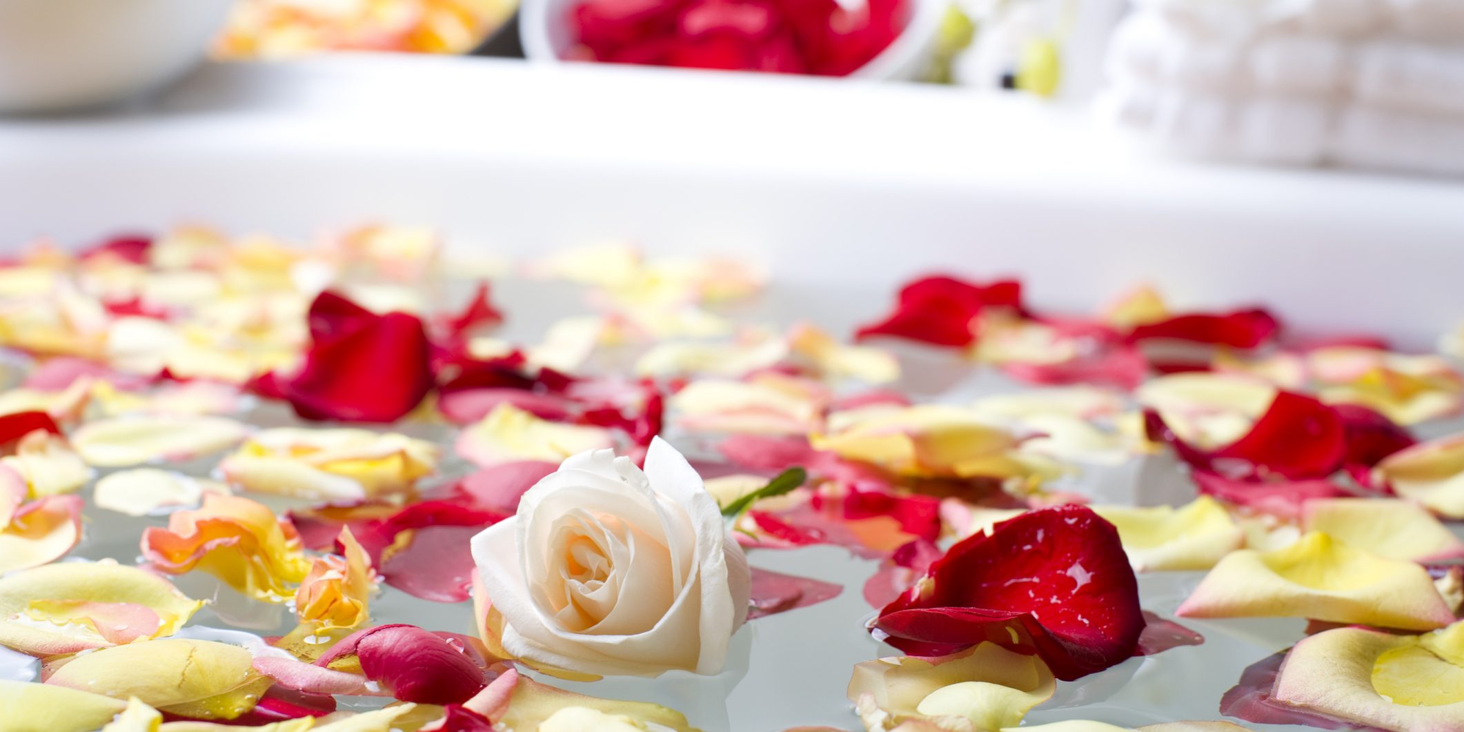 Floating rose petals